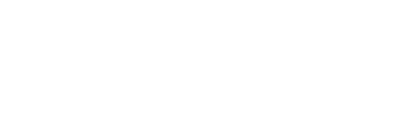 protiviti logo